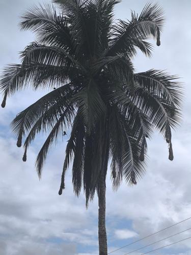 Foto da galeria de Cabañas Iracas del Mar em Nuquí