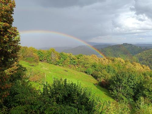 a rainbow in the middle of a field with trees at Sweet Sky apartman in Samobor