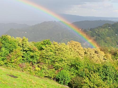 a rainbow in the middle of a field with trees at Sweet Sky apartman in Samobor