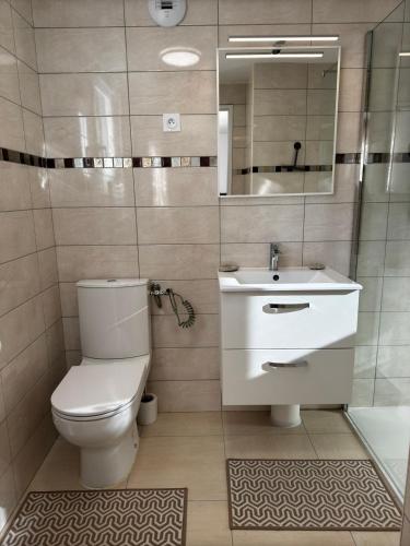 a bathroom with a toilet and a sink and a mirror at Studio24 in Trélissac
