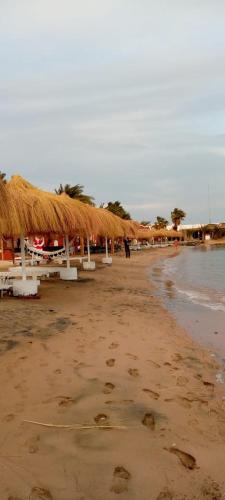 a beach with tables and straw umbrellas and the ocean at Sun Beach Hotel Safaga in Hurghada