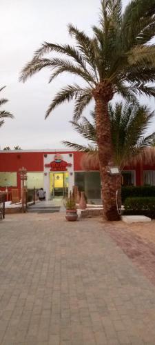 a palm tree in front of a building at Sun Beach Hotel Safaga in Hurghada