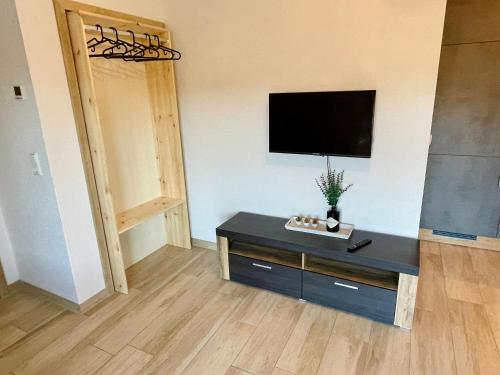 TV a/nebo společenská místnost v ubytování 1 Zimmer Apartment im Schwarzwald