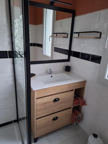 une petite salle de bain avec un lavabo et un miroir dans l'établissement Gite de la Molinière, aux portes du Zoo de Beauval, à Pouillé