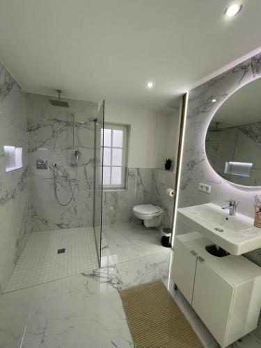 a bathroom with a shower and a sink and a toilet at ADVENTURE LuxusApartment in Wetzlar
