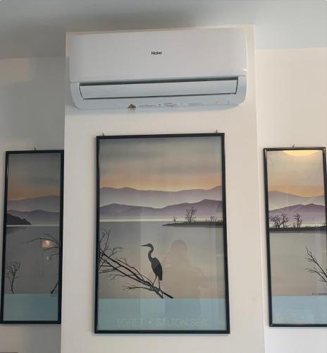 a wall with three framed pictures of a bird on a branch at LA CONCHIGLIA A MARINA in Marina di Carrara