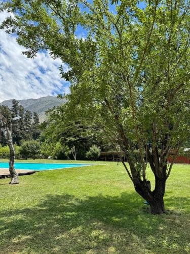 a tree in a field next to a swimming pool at Parcela Santa Elena, Cabaña 3 in San José de Maipo
