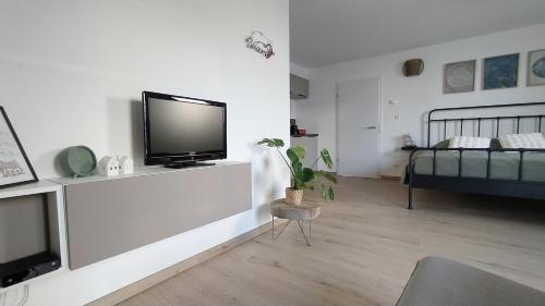 TV a/nebo společenská místnost v ubytování Bois de rose
