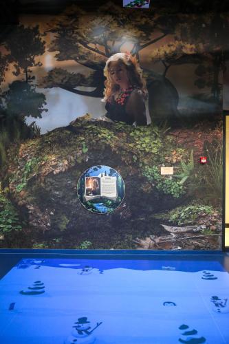 a picture of a painting of a woman on a rock at Hotel Mazurski Raj in Ruciane-Nida