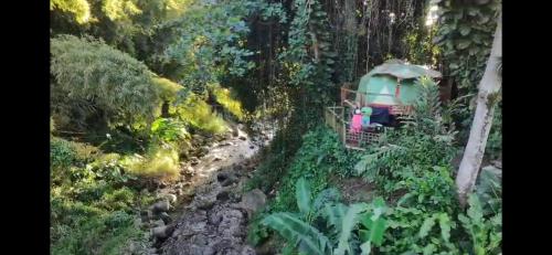 Taman di luar Dôme en bord de rivière