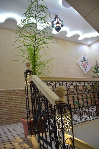 a staircase with a potted plant and a chandelier at Canyon Dades Guest House in Akedim Msemrir