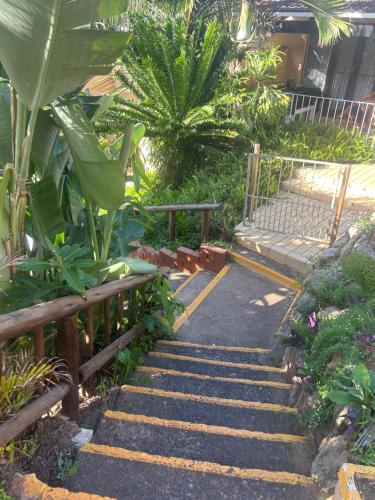 a set of stairs in a garden with plants at Amanzimtoti , 36 Ocean Breeze ,warner beach, kingsburg in Kingsburgh