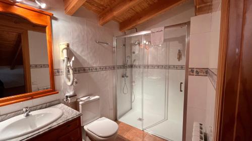 Un baño con ducha, inodoro y lavabo. en Apartamentos Casa Aurelia, en Alquézar