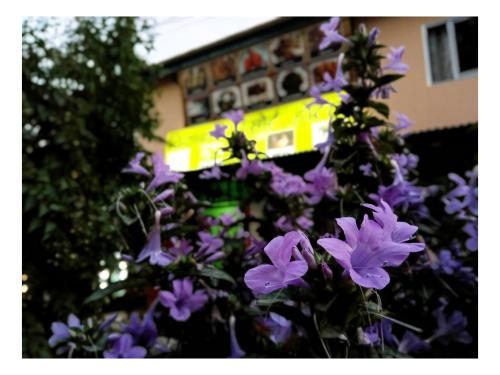 Gallery image of Chiyabari Hotel in Pānigata