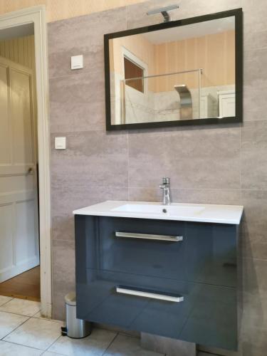 une salle de bain avec un lavabo bleu et un miroir dans l'établissement gite au jardin de grand-père, à Fougères-sur-Bièvre