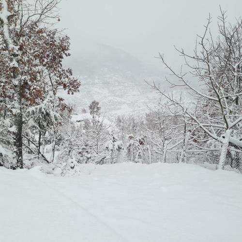 Το Nia's Farm τον χειμώνα