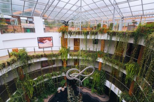 an indoor garden with plants in a building at Hacienda del Valle Sagrado in Urubamba