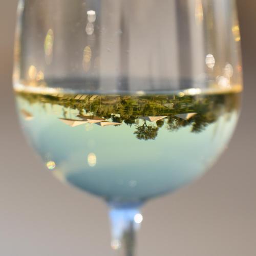 a glass of white wine with a bunch of grapes at Quinta da Amendoeira - Évora - The Farmhouse in Évora