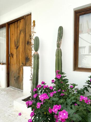 Κήπος έξω από το Casa Leone La Punta