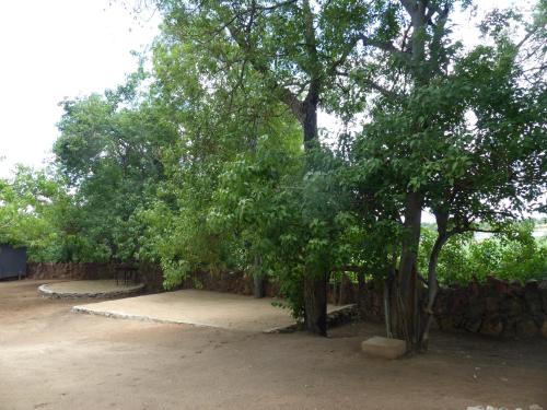 a group of trees next to a stone wall at Nyime Safari Lodge Campsite in Divundu