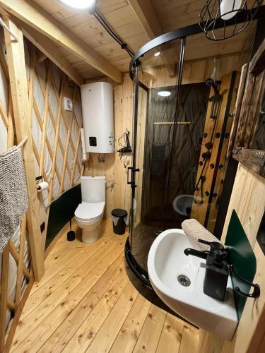 a bathroom with a sink and a toilet at Jurty za winklem ze strefą SPA in Rudnica