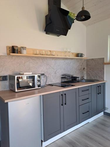 a kitchen with a counter with a microwave on it at Family House Volosianka in Volosyanka