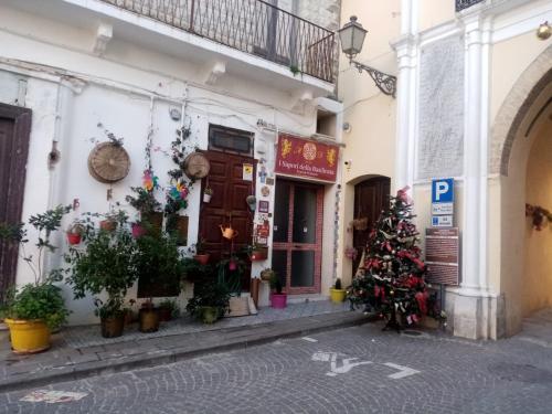 a street with christmas trees in front of a building at Oasi Blu in Montalbano Jonico