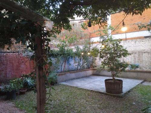 Jardin de l'établissement Nick Hostel Cidade Baixa - Próx à Redenção, Opinião,Araújo Viana, João Alfredo,