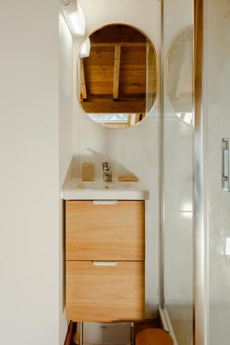 une salle de bain avec un lavabo et un miroir dans l'établissement Hébergement 4 étoiles Accès Pied des Pistes en Navette Gratuite, à Saint-Chaffrey