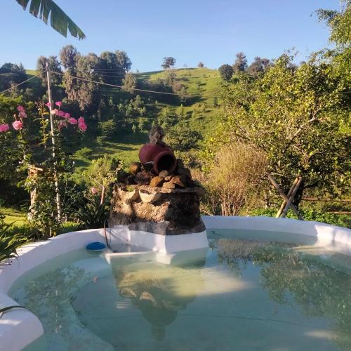 a pool of water with a fire hydrant at Casa de campo vacacional "Tres Soles" en Xico, Veracruz in Xico