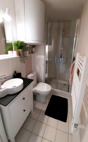 La salle de bains est pourvue d'un lavabo et d'une douche. dans l'établissement Nid douillet, à Ouistreham