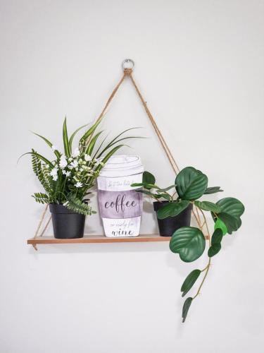 a wooden shelf with three plants on it at Calgary Cozy Nest 2BR Suite in Calgary