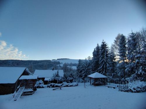 a snow covered yard with a building and trees at Agroturystyka Pod Gruszą in Chyrowa