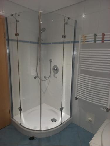 a shower with a glass door in a bathroom at Ferienwohnung Kunterbunt in Stadtlauringen
