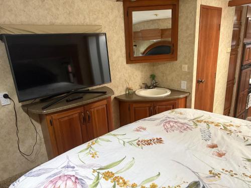 TV a/nebo společenská místnost v ubytování Outpost RV Accomodation Fiordland