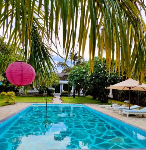 a pool with a pink umbrella and a palm tree at WHITE Nyumba Malindi in Malindi