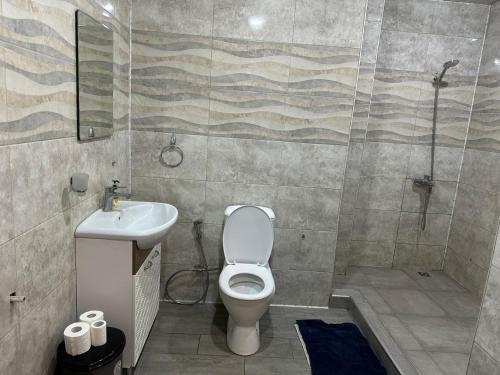 ein Badezimmer mit Toilette, Waschbecken und Dusche in der Unterkunft Квартира in Yerevan