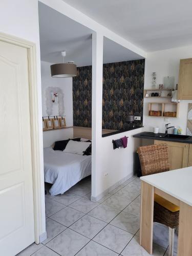 une cuisine et une chambre avec un lit dans une pièce dans l'établissement Large quiet studio,, à Angers
