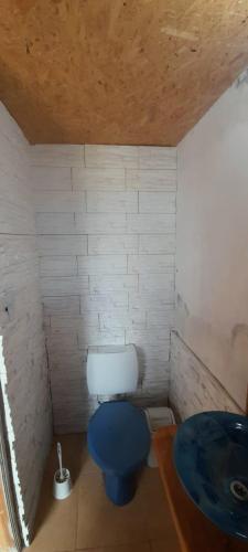 a bathroom with a blue toilet and a sink at Departamentos Lovaiza`s in Barrio Félix U Camet