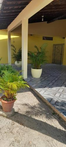 un gruppo di piante in vaso di fronte a un edificio di Casa em Belém a Belém