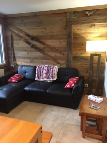 Appartement de charme familial aux CARROZ d ARACHES