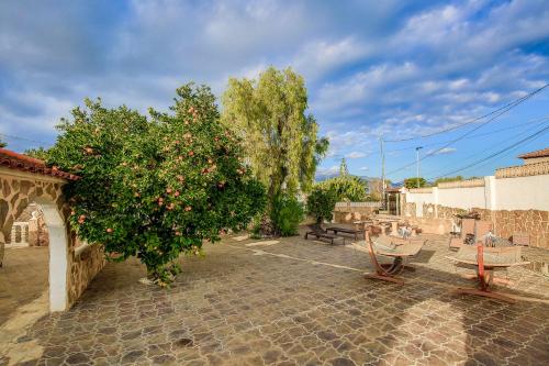 a tree with apples on it next to a patio at Open and large 1 bed apartment in L'Alfas del Pi