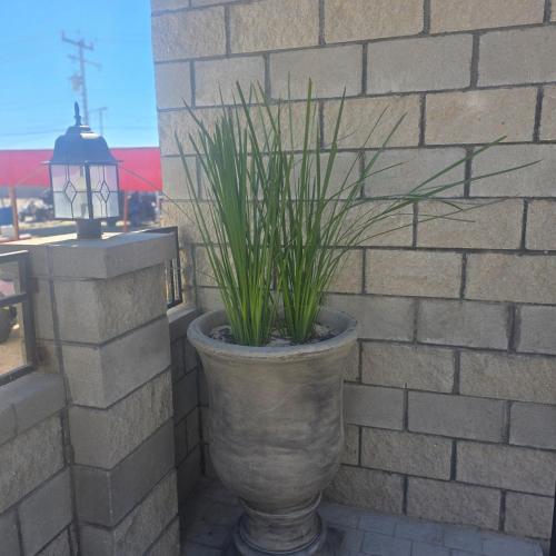 a large stone planter with a plant in it at Playas Hotel Suites in Puerto Peñasco