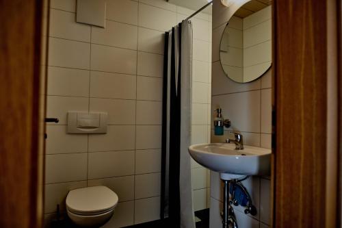 une salle de bain avec toilettes et lavabo dans l'établissement Himmelferien Studio and wonderful garden, à Hergensweiler