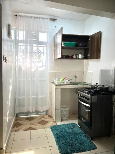 a small kitchen with a stove and a rug at Cozy studio Milimani in Kisumu