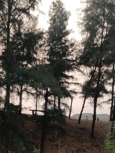 a group of trees on the side of a hill at Sea View Villa in Kondivli