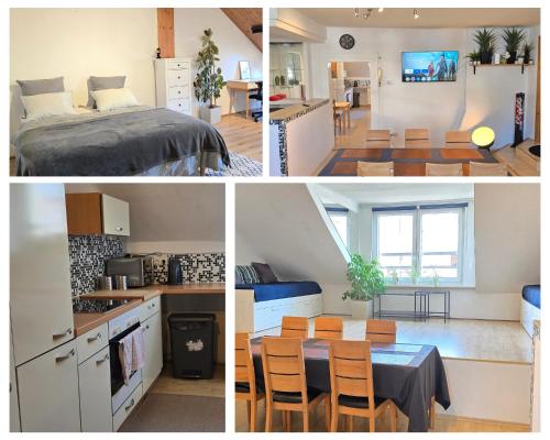 Bright & Spacious Stay in Graz
