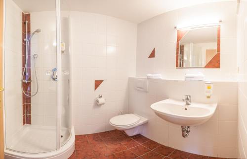 a bathroom with a toilet and a sink and a shower at Gasthof Ellmauer Hof in Ellmau