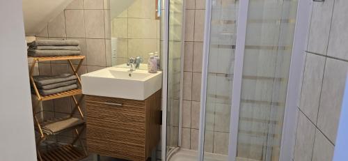 a bathroom with a sink and a shower at Bright & Spacious Stay in Graz in Graz