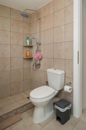 a bathroom with a toilet and a shower at Neapolis Oasis - Lower House in Neapolis